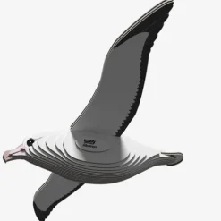 Albatross 3D Model