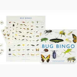 Bug Bingo
