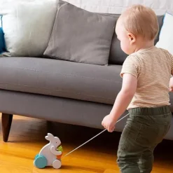 Busy Bunny Wooden Pullalong Toy