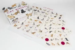 Cat Bingo