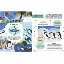 Fly - A Guide To Birds