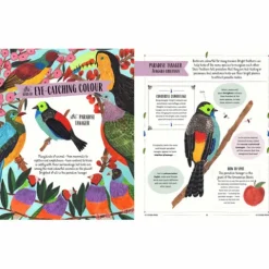 Fly - A Guide To Birds