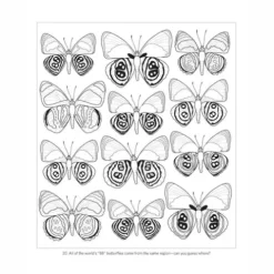 Incredible Insects Colouring Book