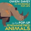 Pop-Up Endangered Animals