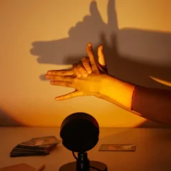 Shadow Game