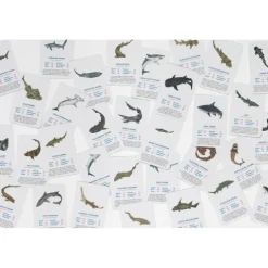 Shark Trump Cards