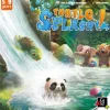 Turtle Splash